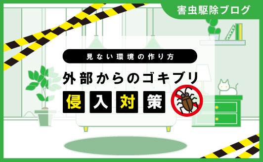 2024.09.25　外部からのゴキブリ侵入対策！