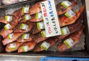 うまかもん市場 お魚